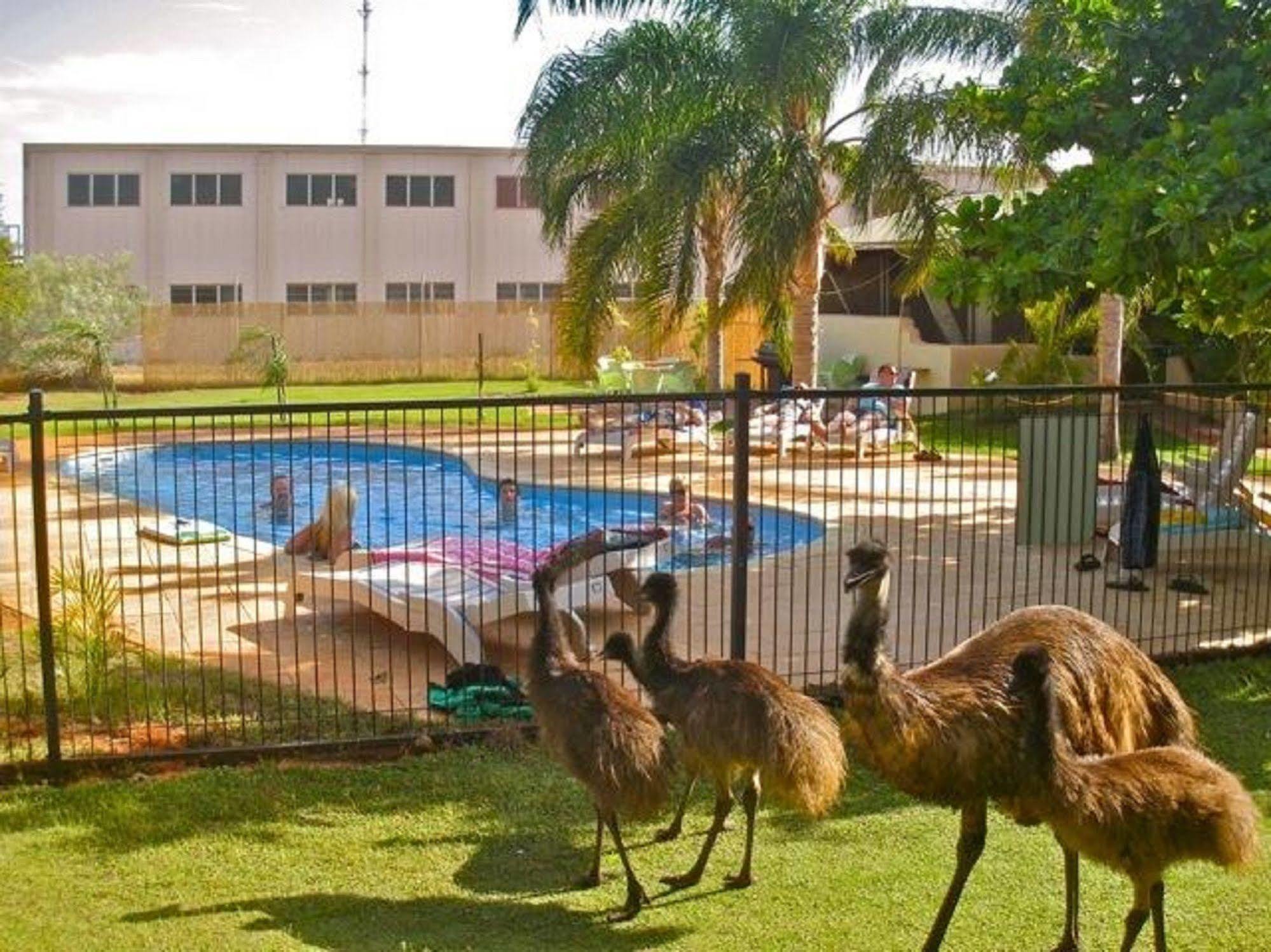 Sea Breeze Resort Эксмут Удобства фото